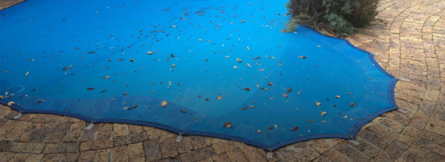 Leaf Net Pool